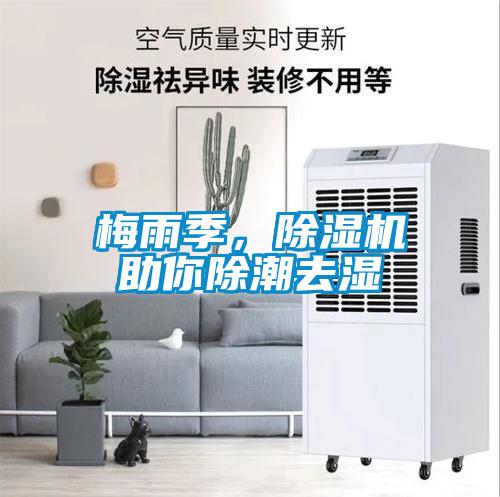 梅雨季，除濕機助你除潮去濕
