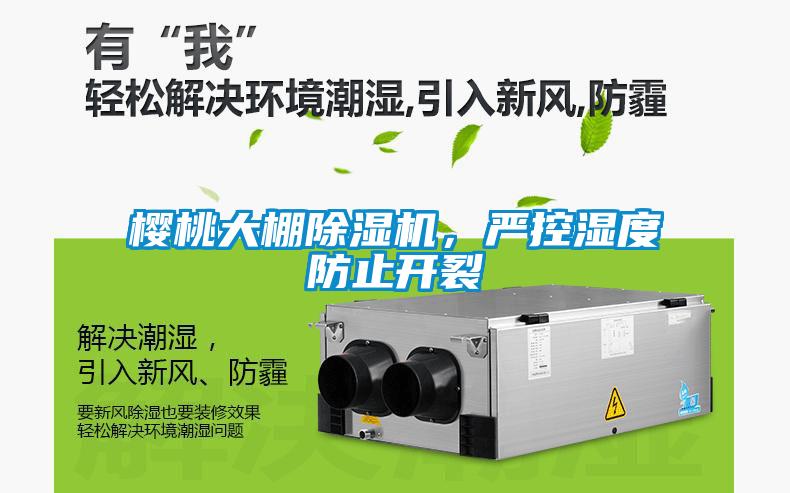 櫻桃大棚除濕機(jī)，嚴(yán)控濕度防止開裂