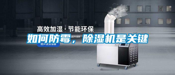 如何防霉，除濕機是關(guān)鍵