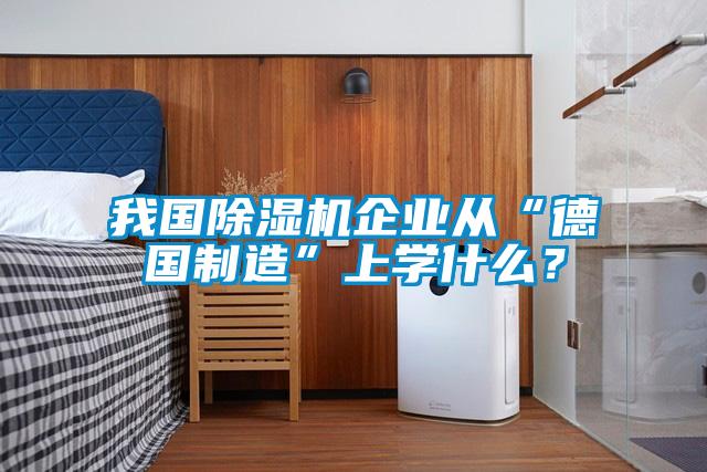 我國除濕機企業(yè)從“德國制造”上學什么？