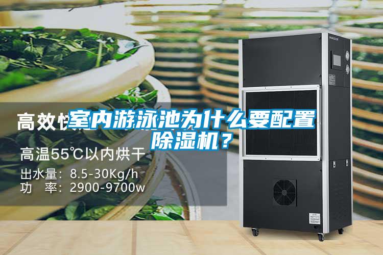 室內(nèi)游泳池為什么要配置除濕機？