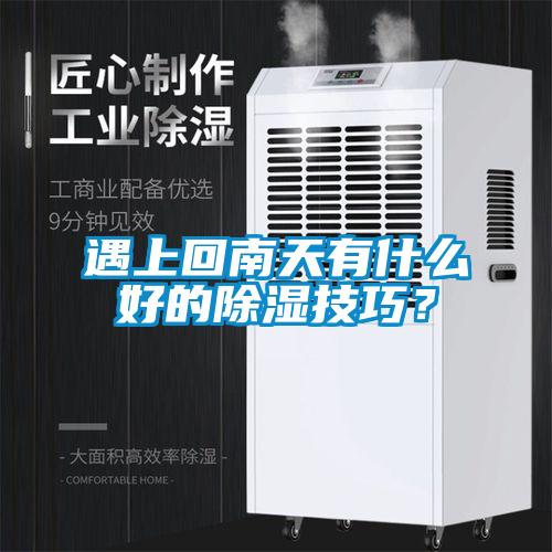 遇上回南天有什么好的除濕技巧？