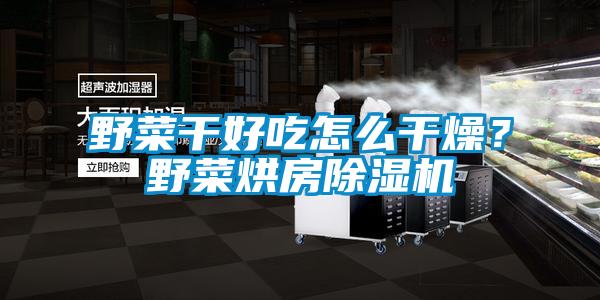 野菜干好吃怎么干燥？野菜烘房除濕機