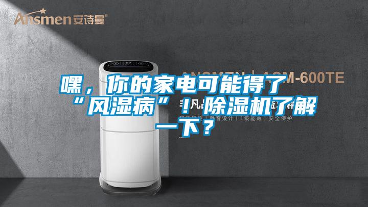 嘿，你的家電可能得了“風(fēng)濕病”！除濕機(jī)了解一下？