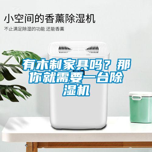 有木制家具嗎？那你就需要一臺除濕機(jī)