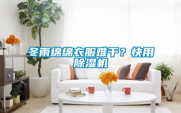 冬雨綿綿衣服難干？快用除濕機