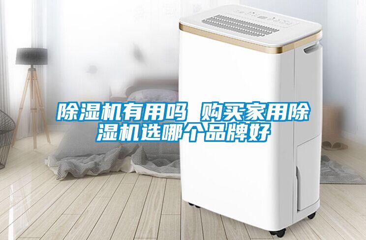 除濕機(jī)有用嗎 購(gòu)買(mǎi)家用除濕機(jī)選哪個(gè)品牌好