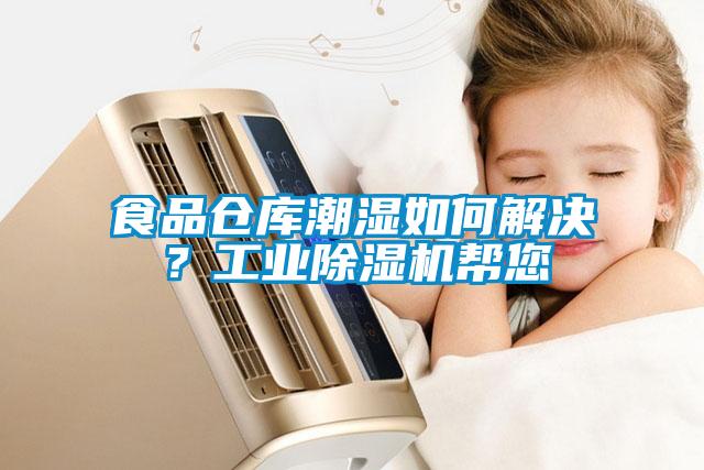 食品倉庫潮濕如何解決？工業(yè)除濕機幫您