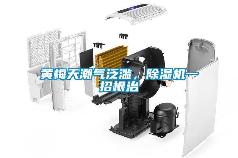 黃梅天潮氣泛濫，除濕機(jī)一招根治