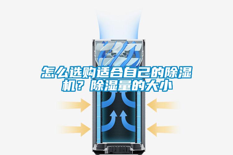 怎么選購(gòu)適合自己的除濕機(jī)？除濕量的大小
