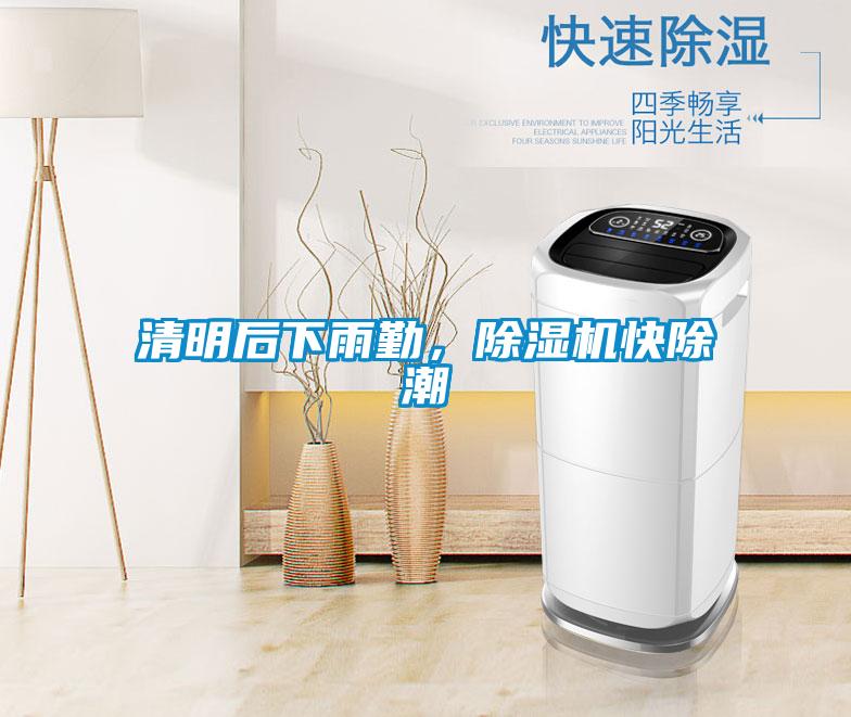 清明后下雨勤，除濕機快除潮