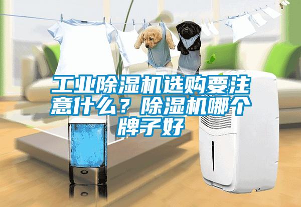 工業(yè)除濕機(jī)選購要注意什么？除濕機(jī)哪個牌子好