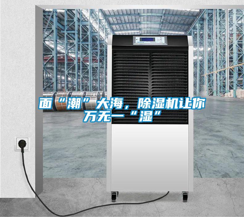 面“潮”大海，除濕機(jī)讓你萬(wàn)無(wú)一“濕”