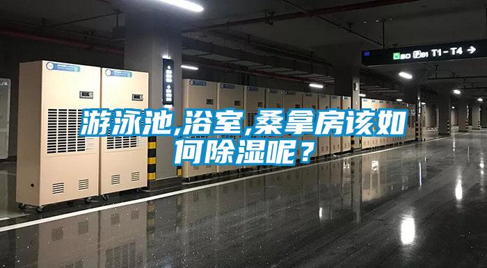 游泳池,浴室,桑拿房該如何除濕呢？