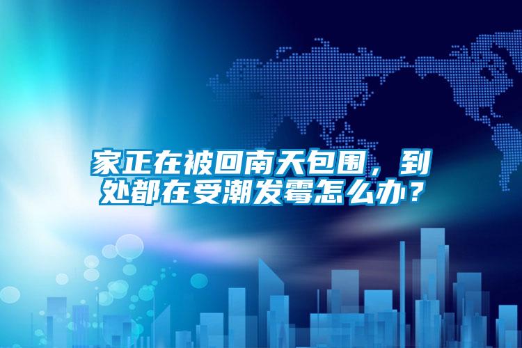 家正在被回南天包圍，到處都在受潮發(fā)霉怎么辦？