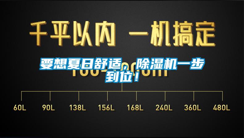 要想夏日舒適，除濕機一步到位！