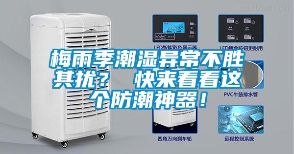 梅雨季潮濕異常不勝其擾？ 快來看看這個(gè)防潮神器！