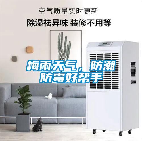 梅雨天氣，防潮防霉好幫手