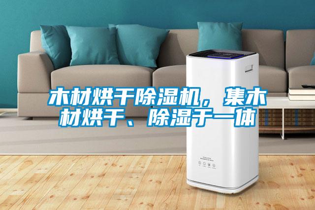 木材烘干除濕機(jī)，集木材烘干、除濕于一體