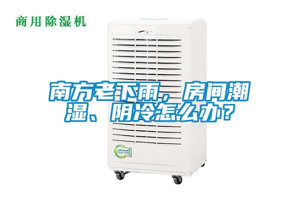 南方老下雨，房間潮濕、陰冷怎么辦？
