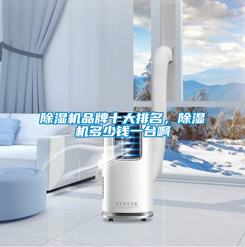 除濕機(jī)品牌十大排名，除濕機(jī)多少錢一臺啊