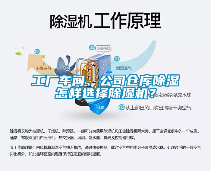 工廠車間、公司倉庫除濕怎樣選擇除濕機(jī)？