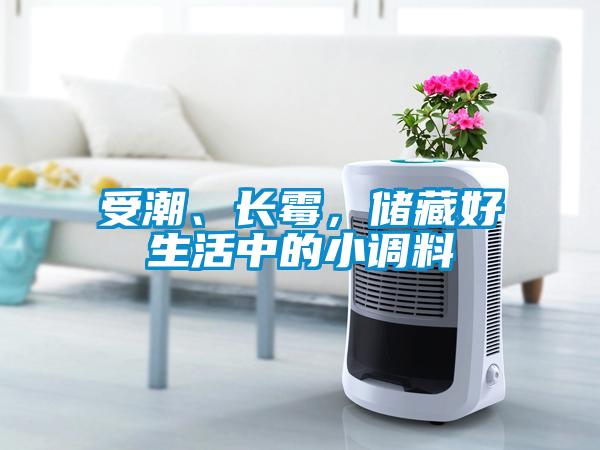 受潮、長霉，儲藏好生活中的小調料