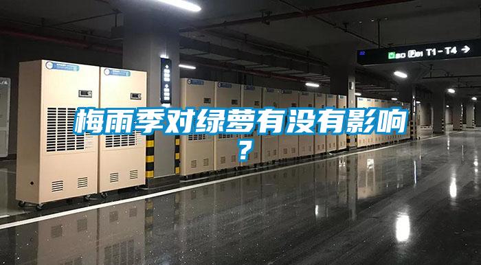 梅雨季對(duì)綠蘿有沒(méi)有影響？