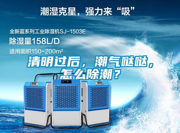 清明過后，潮氣噠噠，怎么除潮？
