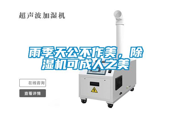 雨季天公不作美，除濕機可成人之美