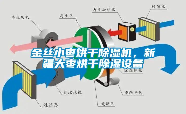 金絲小棗烘干除濕機(jī)，新疆大棗烘干除濕設(shè)備