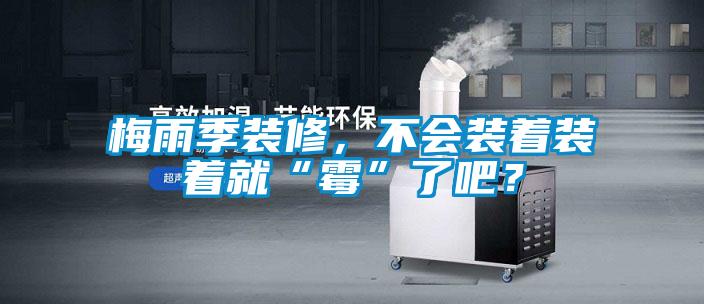 梅雨季裝修，不會裝著裝著就“霉”了吧？