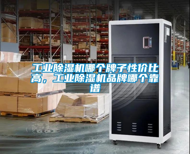 工業(yè)除濕機(jī)哪個(gè)牌子性價(jià)比高，工業(yè)除濕機(jī)品牌哪個(gè)靠譜