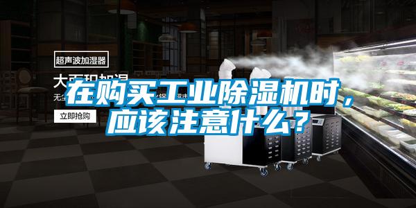在購(gòu)買(mǎi)工業(yè)除濕機(jī)時(shí)，應(yīng)該注意什么？
