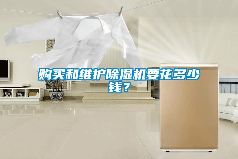 購買和維護除濕機要花多少錢？