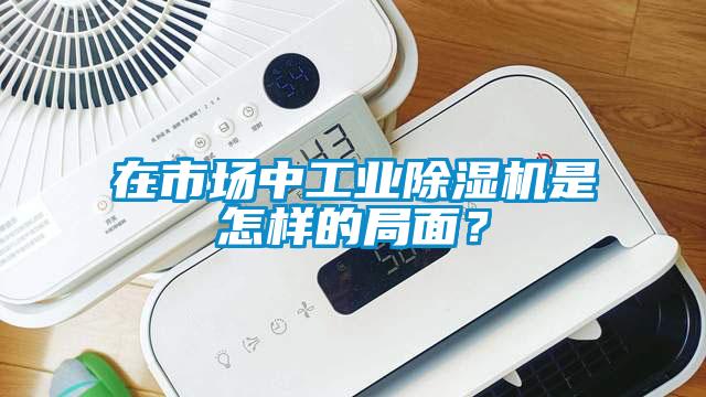 在市場中工業(yè)除濕機是怎樣的局面？