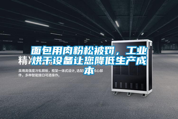 面包用肉粉松被罰，工業(yè)烘干設(shè)備讓您降低生產(chǎn)成本