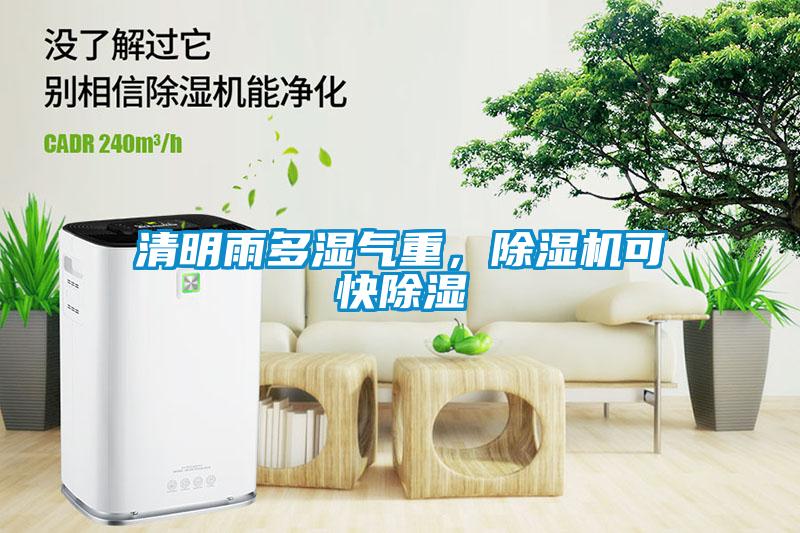 清明雨多濕氣重，除濕機可快除濕