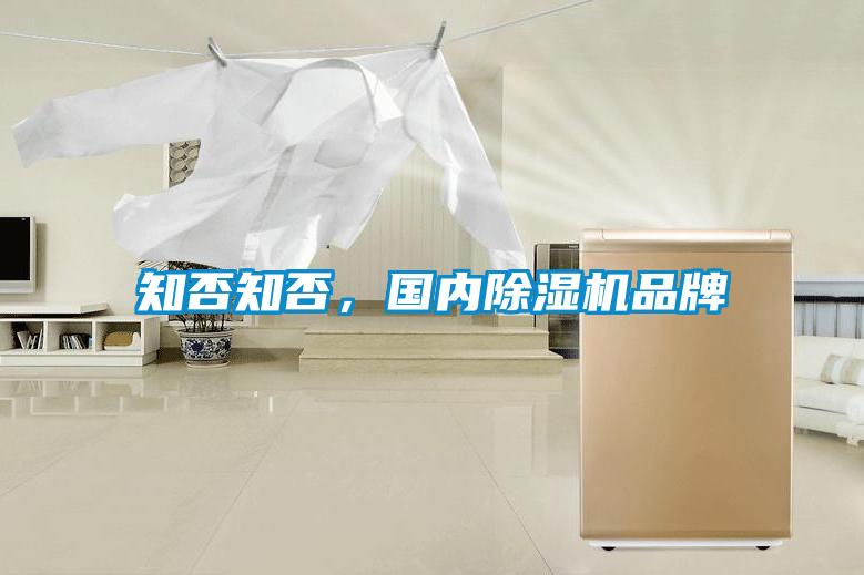 知否知否，國內(nèi)除濕機品牌