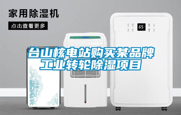 臺(tái)山核電站購買某品牌工業(yè)轉(zhuǎn)輪除濕項(xiàng)目