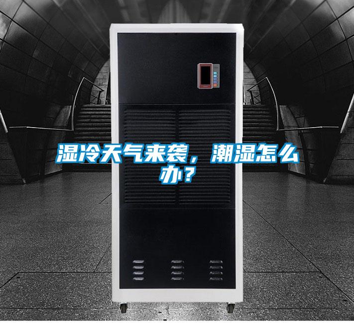 濕冷天氣來襲，潮濕怎么辦？