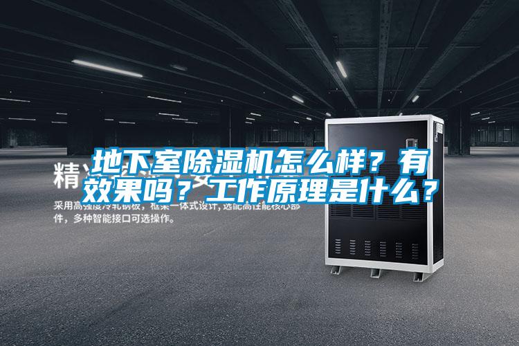 地下室除濕機(jī)怎么樣？有效果嗎？工作原理是什么？