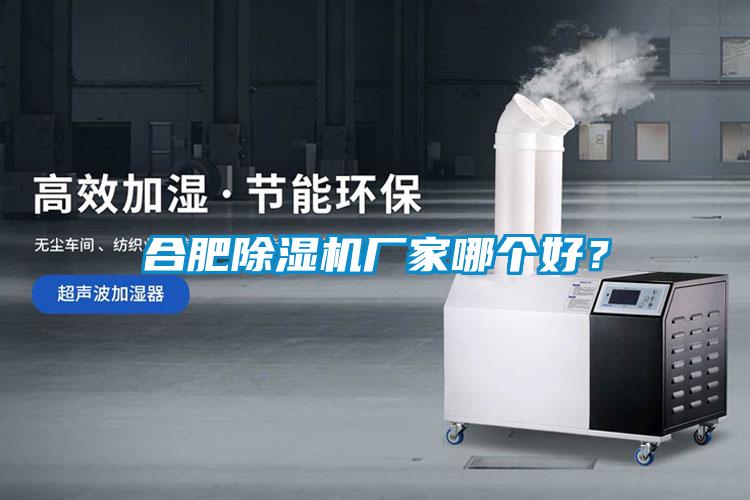 合肥除濕機(jī)廠家哪個(gè)好？