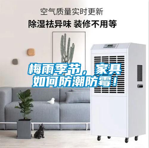 梅雨季節(jié)，家具如何防潮防霉！