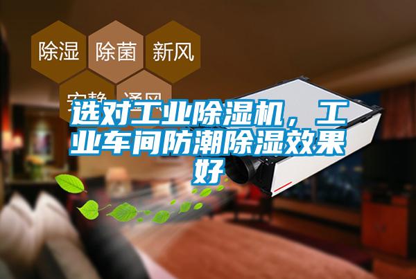選對工業(yè)除濕機，工業(yè)車間防潮除濕效果好