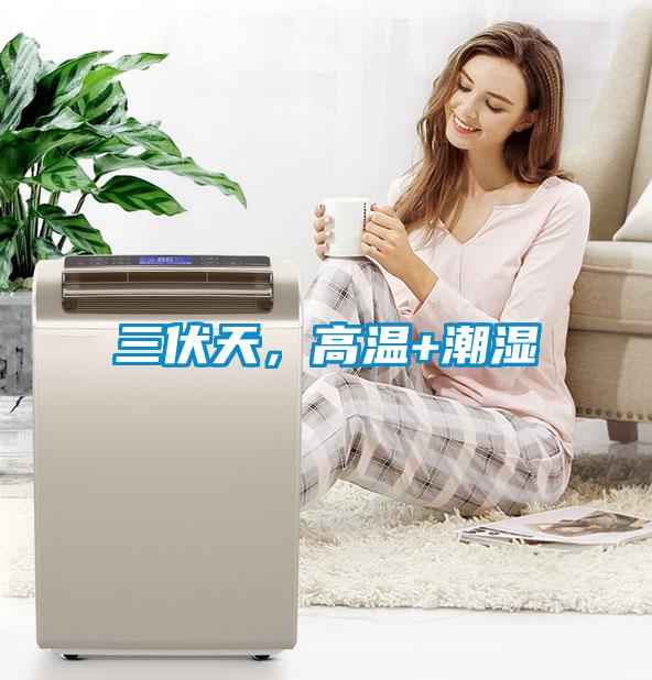 三伏天，高溫+潮濕