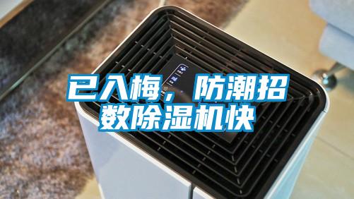 已入梅，防潮招數(shù)除濕機(jī)快
