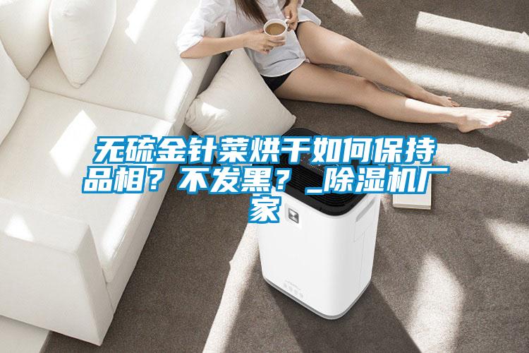 無硫金針菜烘干如何保持品相？不發(fā)黑？_除濕機廠家
