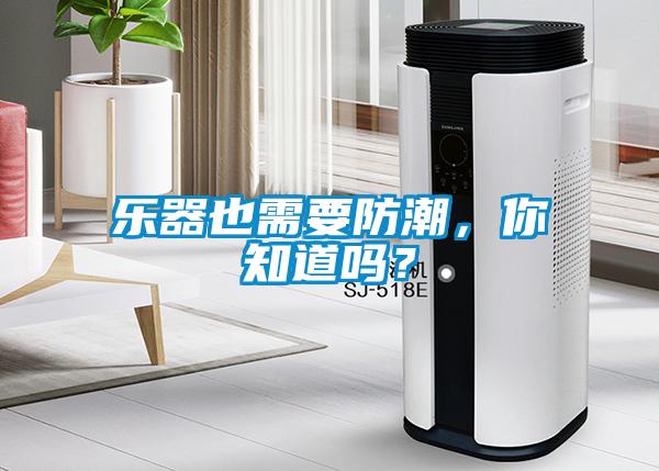 樂器也需要防潮，你知道嗎？