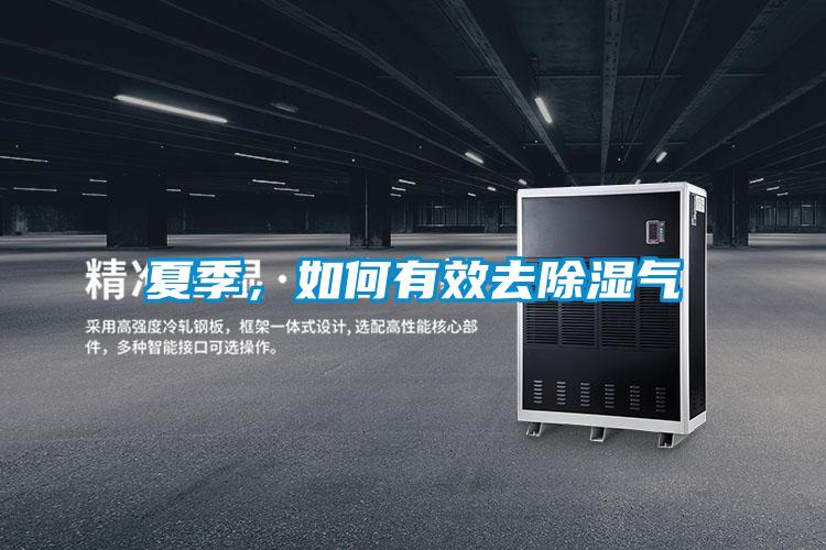 夏季，如何有效去除濕氣